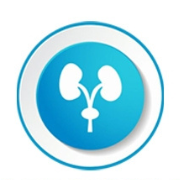 Best Kidney Care Specialists in Agra